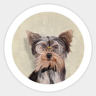 Yorkshire Terrier portrait Sticker